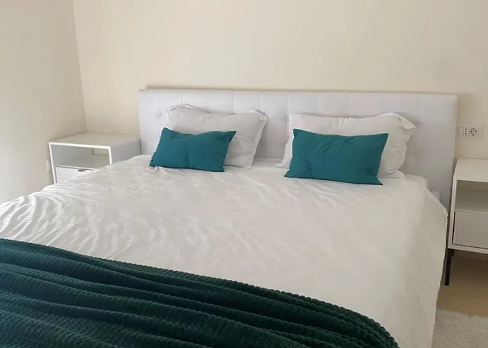 Apartament Timisoara 5